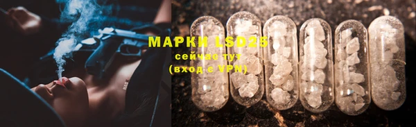 СК Тавда