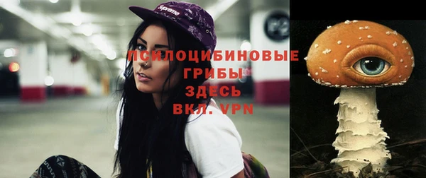 прущий лед Сясьстрой