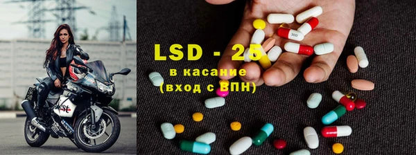 СК Тавда
