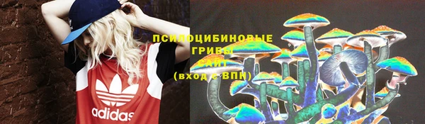 прущий лед Сясьстрой