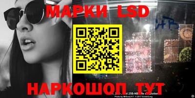 гидра Кингисепп