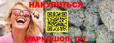 гидра Кингисепп