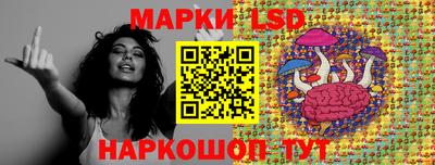 гидра Кингисепп