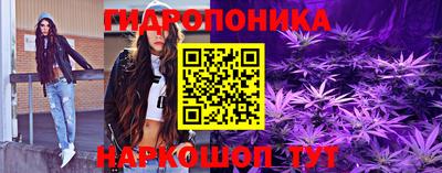 гидра Кингисепп