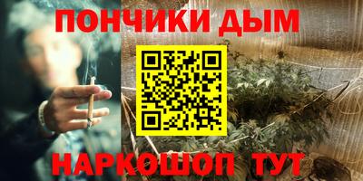 гидра Кингисепп