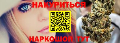 индика Аргун