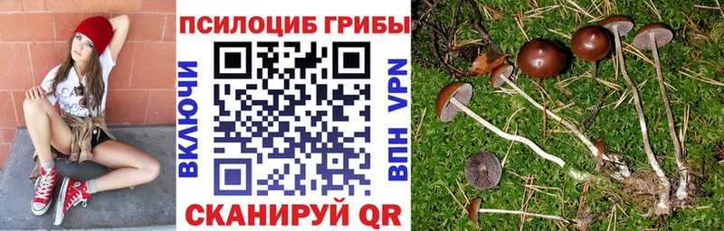 Псилоцибиновые грибы прущие грибы  Ханты-Мансийск 