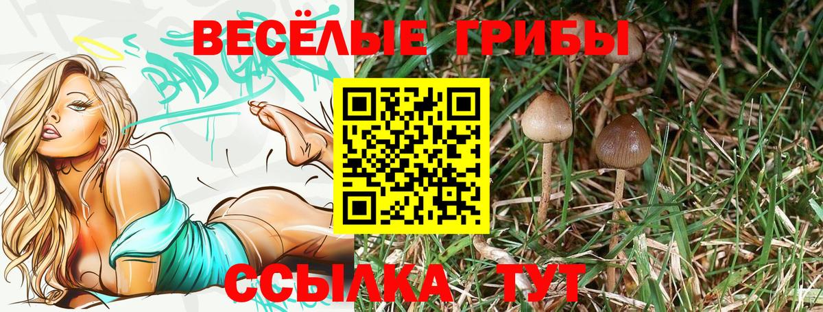 Псилоцибиновые грибы Magic Shrooms  Вход с VPN  Ханты-Мансийск 